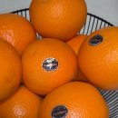 한국치즈과학고 | 과일 선물 추천, 산물 블랙라벨 오렌지 과고당도 퓨어스팩 오렌지 대만족