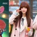 제리네 이미지