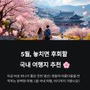 생동농장 | 5월에 가기 좋은 국내 여행지 추천 리스트, 어디까지 가봤나요?