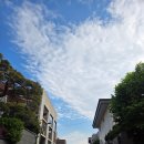 홈 | 260501~05 연휴주간나기