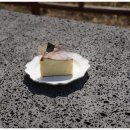 카카오 이미지