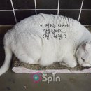 백야학원 이미지
