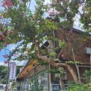 추어가 명품추어탕 이미지