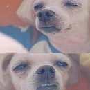 보라매 미용실