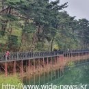 산림청,광주호 호수생태원·푸른길공원 ‘아름다운 도시숲 50’ 선정 이미지