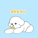 서울 강아지랑 산책 도산공원 애견 동반 후기