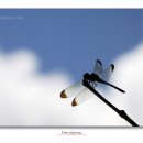 고갯마루 이미지