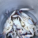 오번풀빌라 이미지