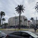 카사블랑카 | [트립닷컴 컴플레인 보상후기]모로코 카사블랑카 이비스 호텔