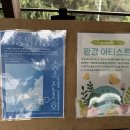 꿈앤컴퍼니