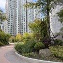 우두이지더원공인중개사사무소 이미지