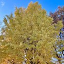 완산-133 | 전주 한옥마을 카페 추천 워커비｜전주굿즈·전주기념품·블렌딩허니 맛집