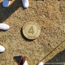 ⛳️⛳️신규 골프장 해운대비치 퍼블릭 라운딩⛳️⛳️