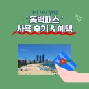 동백이 | 🚌 부산 시민 필수템! 동백패스 사용 후기 &amp; 혜택 파헤치기 💰