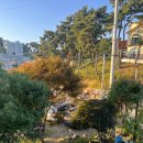 소바추 펜션 이미지