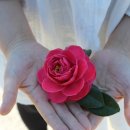 영해수산 이미지