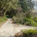 만경읍사무소 이미지