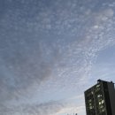 한스애기김밥 | 8월의 여자🍋👀