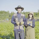 승부농장 이미지