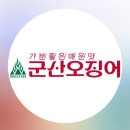 군산오징어 로고
