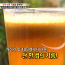 몽산포 기러기농장 이미지