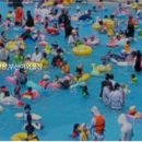 블루25워터파크(삼락야외수영장) 이미지