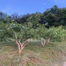 더나농장 이미지