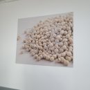 행운식당 이미지