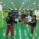 학사태권도클럽 이미지