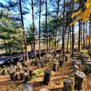 솔안농장 이미지