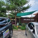 양평애견택시 이미지