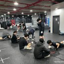 동탄센트럴복싱짐 이미지