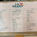 로사모텔 | 내돈내산 국내여행 속초 카페 오션뷰 반려동물동반 가능 라오라나 솔직후기