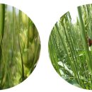 희망축산 이미지