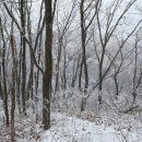 화봉농장 이미지