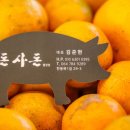 돈사돈제주월정리점 이미지