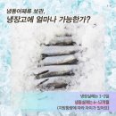 수산물의 냉동보관 방법과 유통기한 이미지