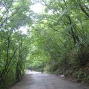 오늘은좋은날 이미지