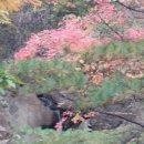 벽소령 펜션 이미지