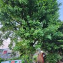 제주지인 게스트하우스 이미지