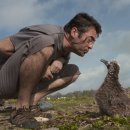 알바트로스 이미지