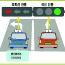 신호등 Daum카페