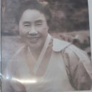 햇빛여행사
