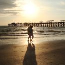 마니마니 이미지