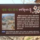 3.16,(토)~17,(일)/산수유 축제&광양 매화 축제 신청하세요 이미지