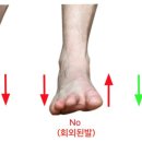 바른피티 이미지