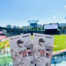 KBO ‘잠실야구장’ 직관 좌석 추천 중앙 네이비석 313블럭 / 두산 VS LG 잠실더비전