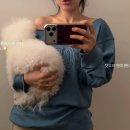 백년벚꽃협동조합 | wishlist | ☆1-2월 위시리스트 zip☆(포에토, 타낫, 쿠에른 etc)