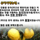 유자사랑농원 이미지
