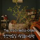 청아탕 이미지